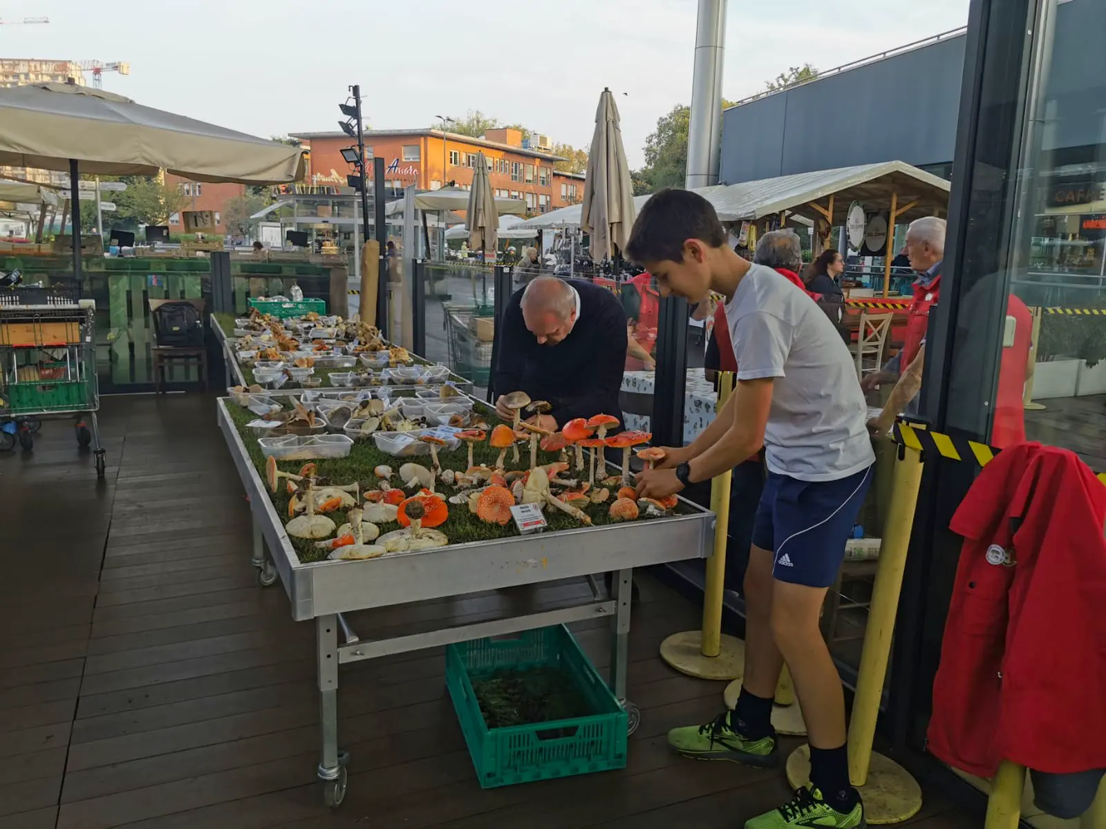 Mostra Micologica Portello