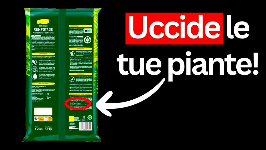 Terriccio: la Formula Segreta per Piante in Salute